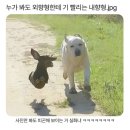 J스타일구제 | 광주 메이크유어데이 솔지플래너 계약후기🤍