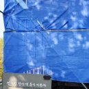 장암2리 노인회관 | 평화누리길 8코스 파주03 (경기도둘레길 7코스) : 반구정길 : 화석정과 함께 눈앞에서 임진강을 볼 수...