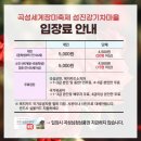 쉽고 예쁜 아크릴화 | 5월 가볼만한 곳 곡성 장미축제 주말 오후 주차 후기 개화 상태