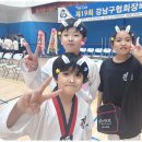 강철태권도체육관 이미지