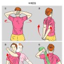 체형/비만관리 네이버블로그