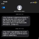 오션빌리지 104 이미지