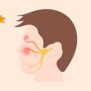 으뜸맥한의원 | 한의학에서 본 구안와사 | 2000년 지혜로 풀어내는 안면마비의 모든 것