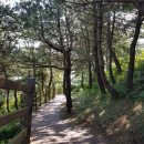 한라여행사 - 제주시 공항로 5 | 한라여행사