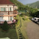 색채의 숲 이미지