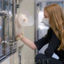 한국동물병원 이미지