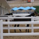 미래목장 이미지