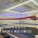 복싱 매니아 | [강남/양재]운동 마니아가 추천하는 ‘복싱 펀치박스 스튜디오’