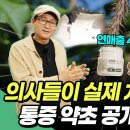 의사들이 실제로 처방하는 ‘통증 약초’의 비밀 - 신바로정 이미지