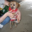 가람카센타 이미지