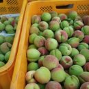 사암농장 이미지