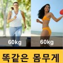 브이점핑 체온다이어트