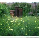 예다원찻집 이미지