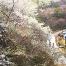 화담 이미지