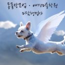 J0203 이미지