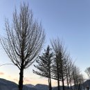 비바구구