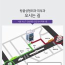 링클성형외과의원 이미지