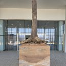 전북특별자치도립미술관 | 전북도립미술관 《허산옥, 남쪽 창 아래서》 전시 후기