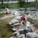 계곡1번지 이미지