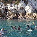 작은한개 이미지