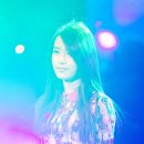 하이미스터 이미지