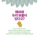 토토북 신간 ＜세계 속 우리 보물을 찾아라＞ 이미지