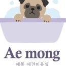 애몽쌀롱 이미지