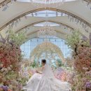 릴리(Lily) | [웨딩] 빈티지 아이폰 스냅 : 릴리 오브 러브(lily of love) 계약 후기 (+짝꿍코드)