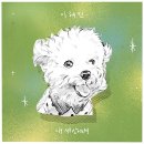 내세상 티스토리