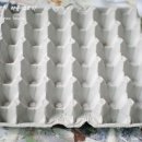 에그박스 이미지