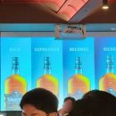 싱글톤 | 싱글톤 나이트 - 가든스 오브 어번던스 콜렉션 시음회 후기(2025-12-17)