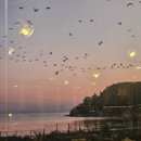 별빛물든바다 | 영종도 을왕리맛집 별빛조개포차 - 신선도 좋은 무한리필 조개구이 재방문후기