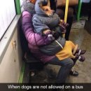 애지중지 이미지