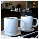 분위기 좋은 카페, 행궁동 본지르르 수원 방문후기(넓은 공간과 깔끔한 화장실)