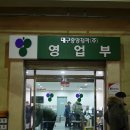 상생과 공존 이미지