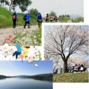 버드나무나루께길(물소리길 4코스) | 양평 물소리길 완벽 가이드! 1~9코스의 모든 것 : 코스별 특징, 장점, 단점, 주의할점, 경의중앙선 역별...