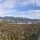 남천변(파크골프장2) 이미지