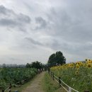 합동농장 이미지