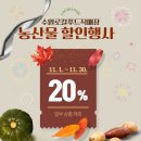 수원-0089 네이버블로그