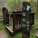 양천구 지역명소 탐방코스 12 | 고창여행.운곡남사르습지.고인돌유적.세계유산과 생태탐방 코스