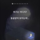 앨리스큐브 이미지