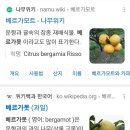 스타벅스 신메뉴 베르가못 콜드브루 후기 바크콜 좋아하면 추천해요