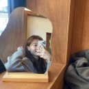 대전 은행동 : 그날의 사진관 대전점 셀프사진관 후기