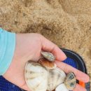 남승농장 이미지