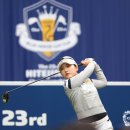 하이트퀸 이미지