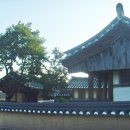 야유당(野遺堂) Daum카페