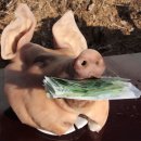 복돼지 이미지