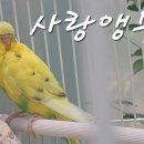 자연생태박물관 이미지