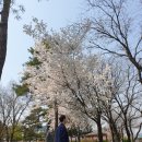 현중어린이공원 | 경기도 여주 나들이 영월근린공원 &amp; 금은모래강변공원 커플 자전거 데이트 (자전거 대여 정보)