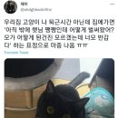 햇님이네 이미지